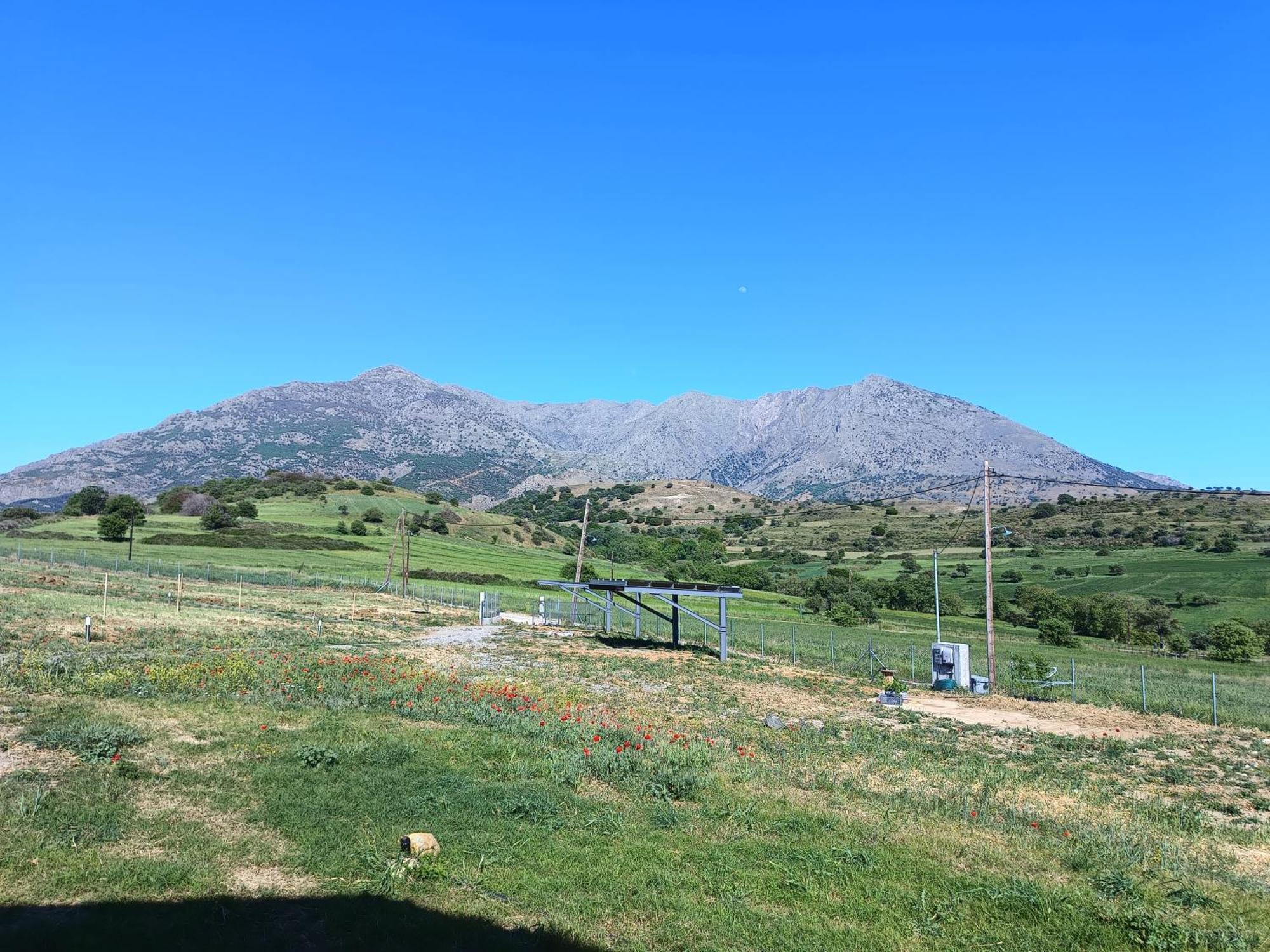 Pezoulia Cottages Samothráki Buitenkant foto